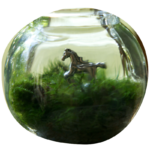 conserve_cavallo